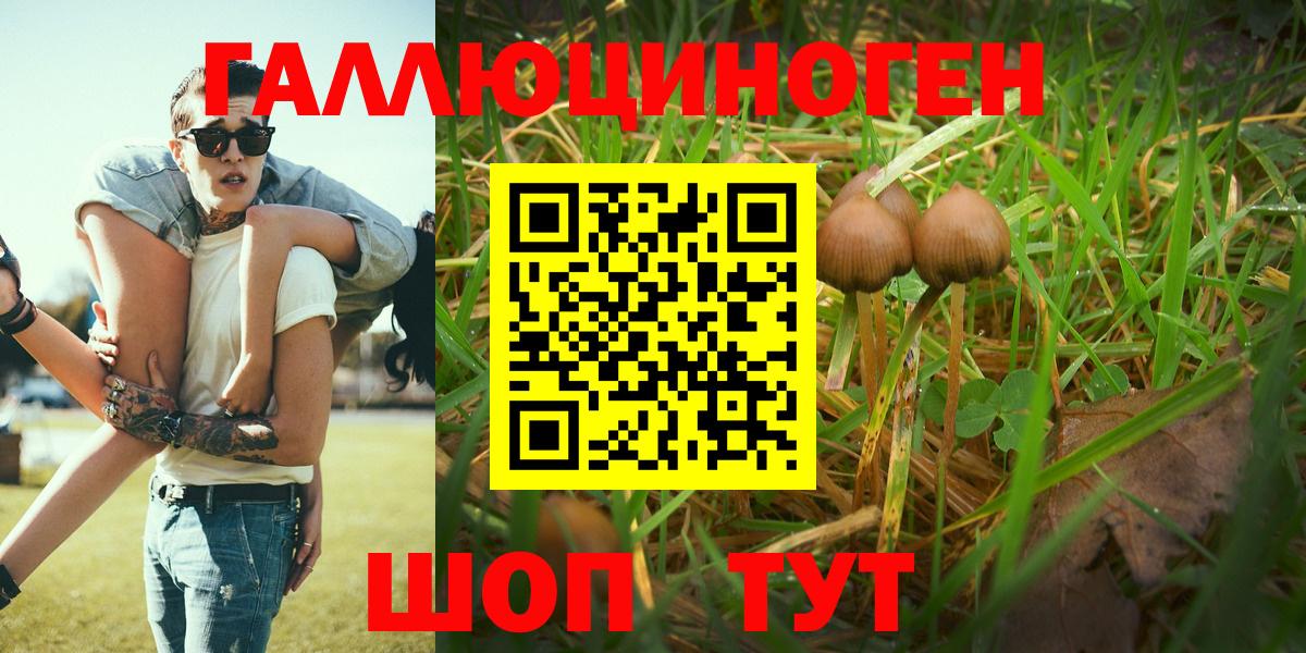 Галлюциногенные грибы ЛСД  Псилоцибиновые грибы ЛСД  Вход с VPN  Тобольск 